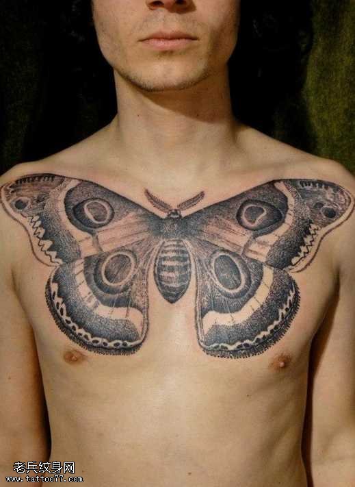 胸部飞蛾纹身图案