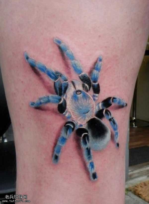 雪蜘蛛纹身图案