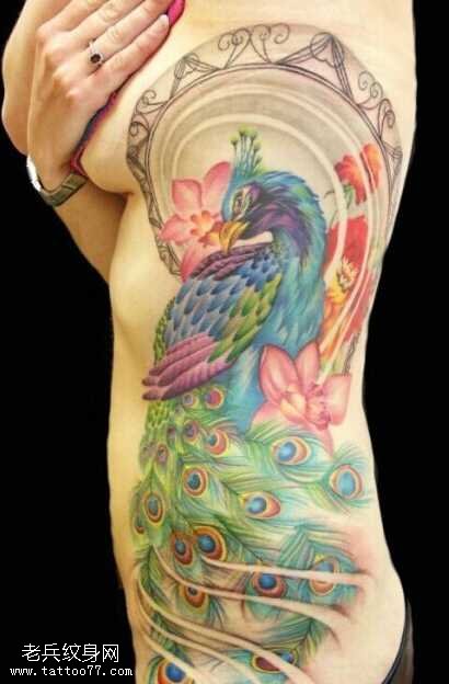 很美孔雀纹身图案