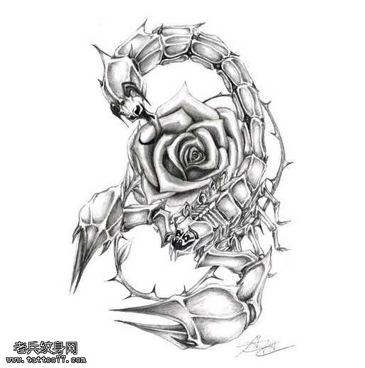 手稿玫瑰蝎子纹身图案