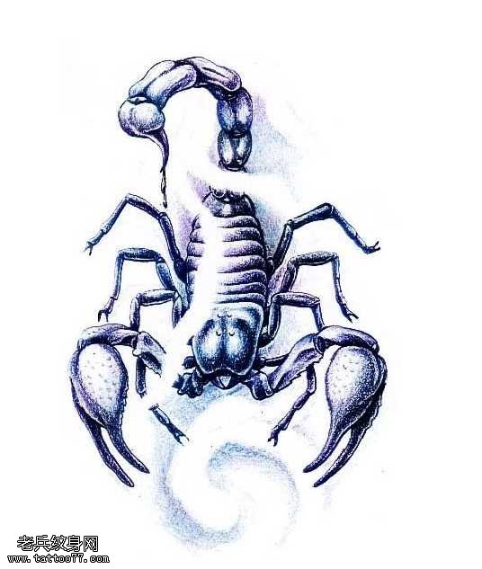 手稿蝎子纹身图案