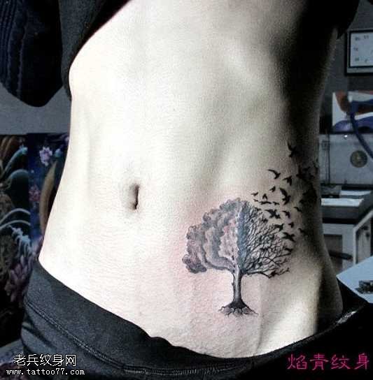 腹部黑树小鸟纹身图案