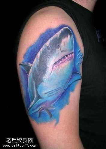 胳膊海水鲨鱼纹身图案