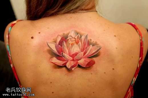 背部粉莲花纹身图案