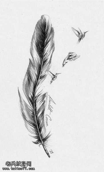 手稿小鸟出羽毛纹身图案