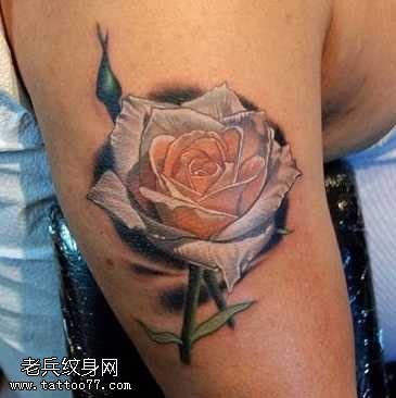 胳膊白玫瑰纹身图案