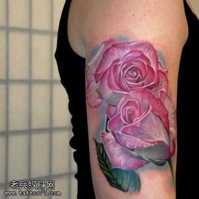 胳膊白粉玫瑰纹身图案
