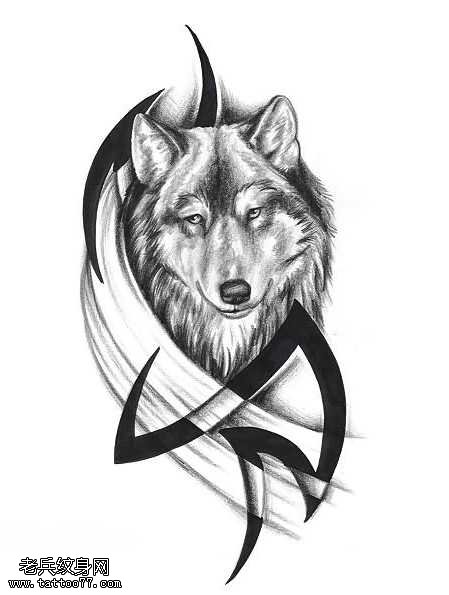 手稿不一样狼头纹身图案