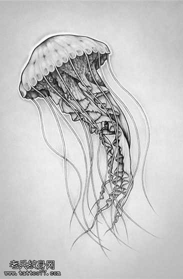 手稿时尚水母纹身图案