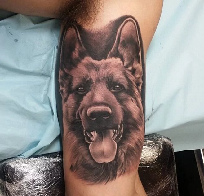 11款德国牧羊犬纹身图案