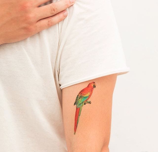 15款活泼的引人入胜的鹦鹉纹身