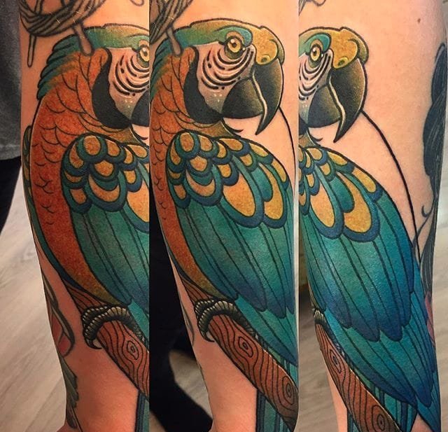 15款活泼的引人入胜的鹦鹉纹身