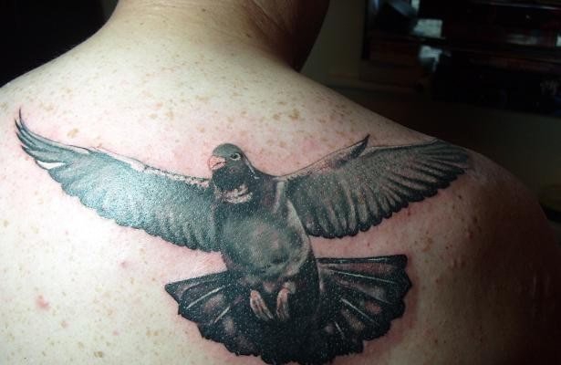 多款展翅飞翔的鸽子纹身图案