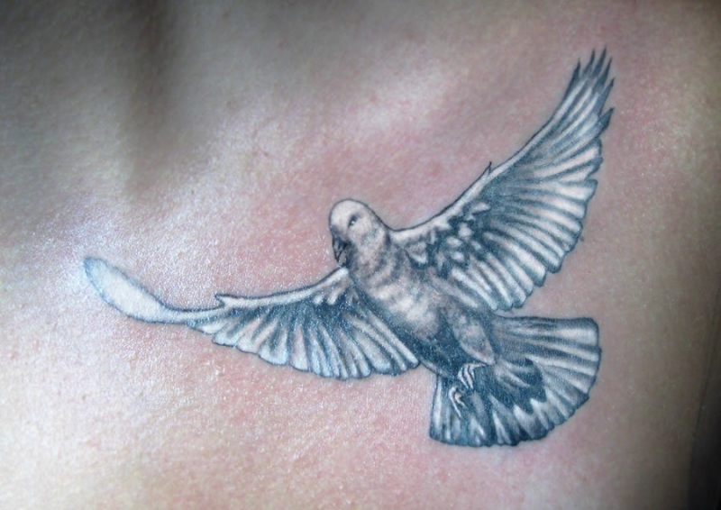 多款展翅飞翔的鸽子纹身图案