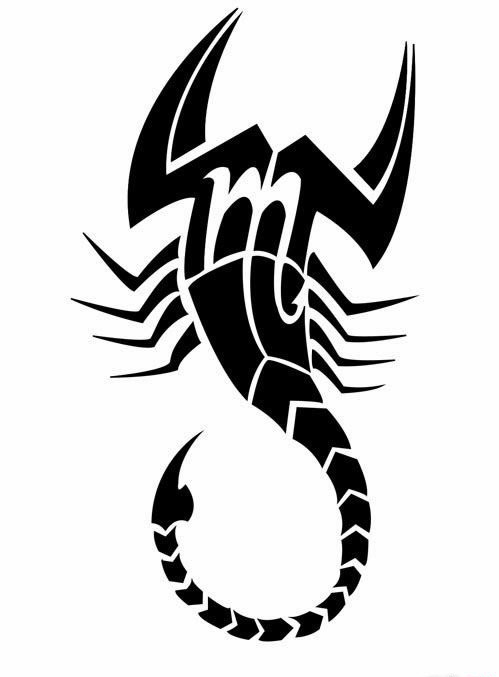 多只蝎子图案手稿纹身图片