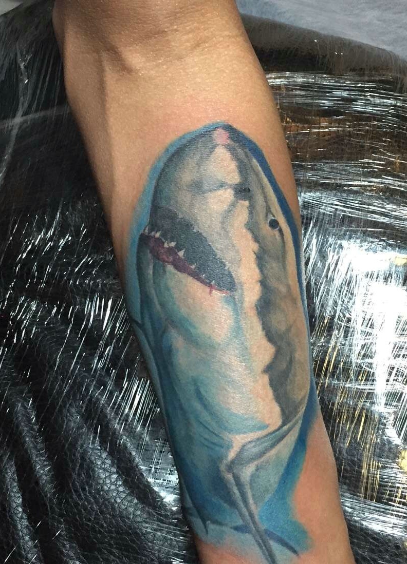 一款小孩特别喜欢的手臂海豚纹身图案