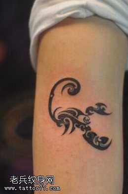 胳膊个性蝎子图腾纹身图案