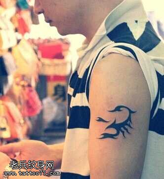 手臂蝎子纹身图案