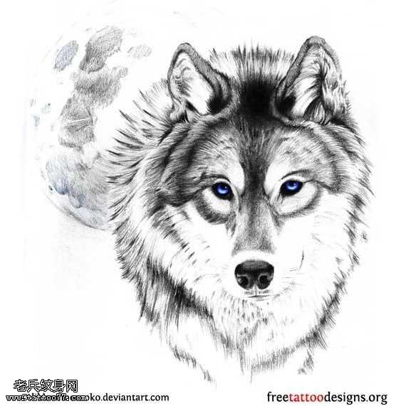 手稿个性黑狼纹身图案