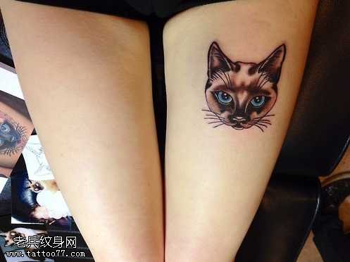 腿部小猫咪纹身图案