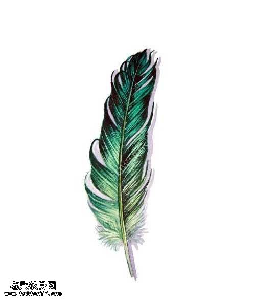 手稿绿羽毛纹身图案