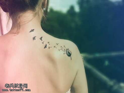 背部薄公英纹身图案