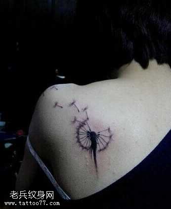 背部小清新薄公英纹身图案