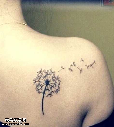 背部小清新薄公英纹身图案