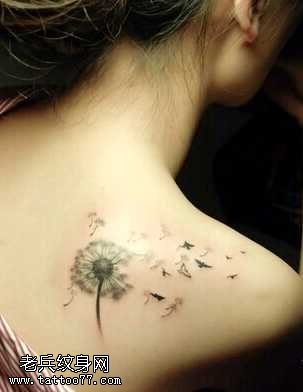 背部薄公英纹身图案