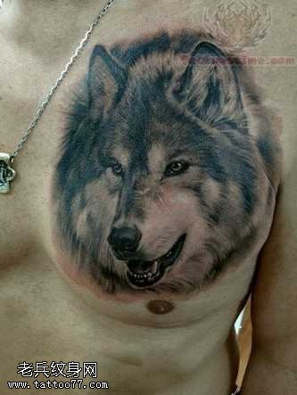 胸部哈士奇纹身图案