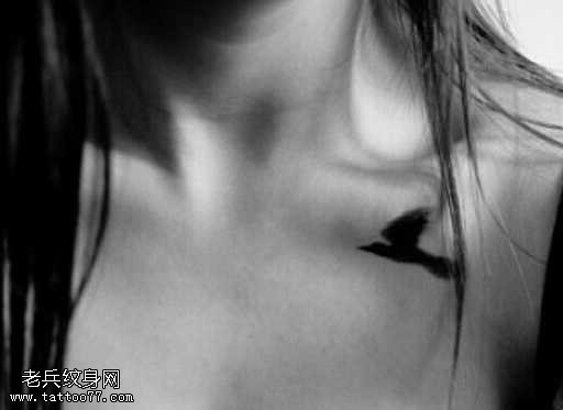 胸部小燕纹身图案