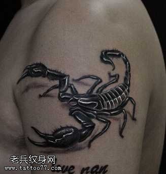 胳膊蝎子纹身图案