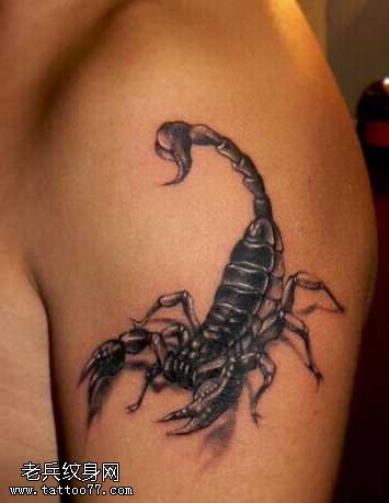 胳膊逼真蝎子纹身图案