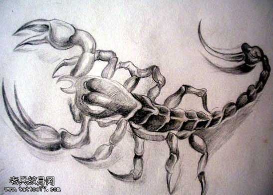 手稿蝎子纹身图案