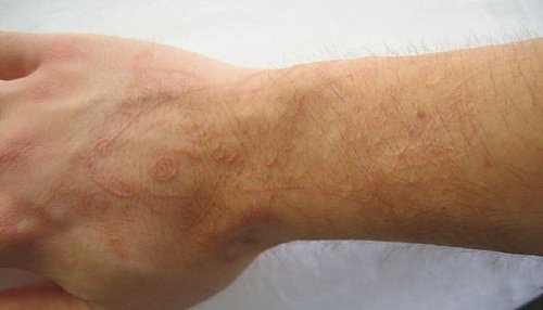 多款女性隐形纹身图案+++荧光,隐形