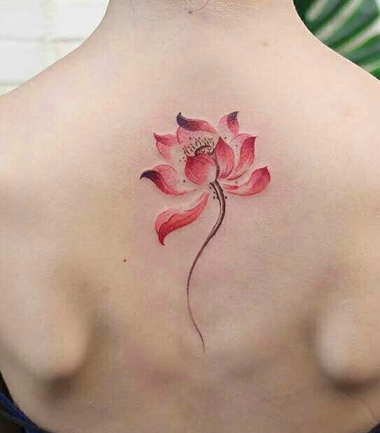 一组非常火热的唯美荷花纹身图案