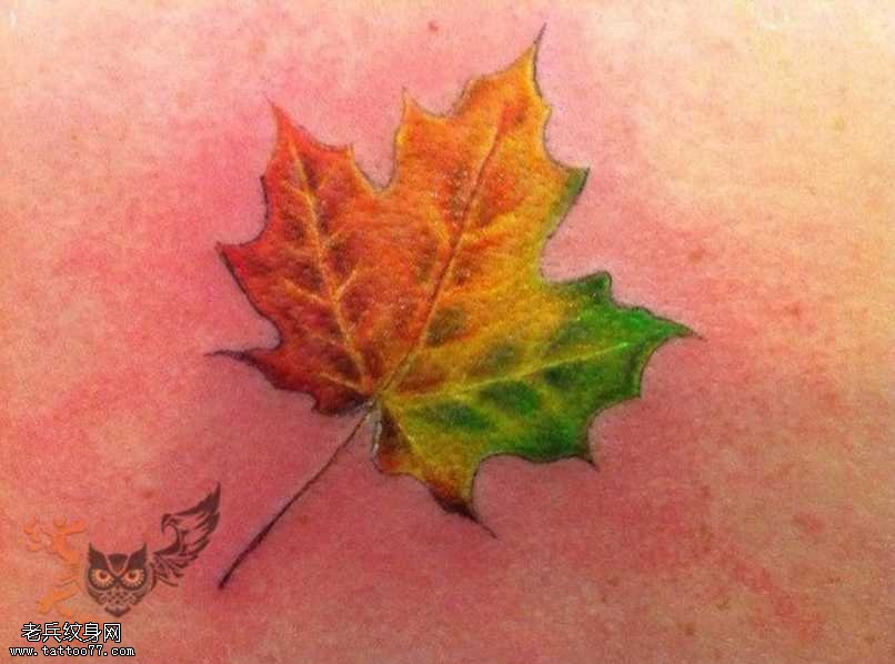 枫叶纹身图案