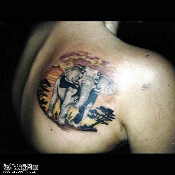 肩部非洲大象纹身图案