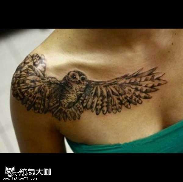 胸部猫头鹰纹身图案