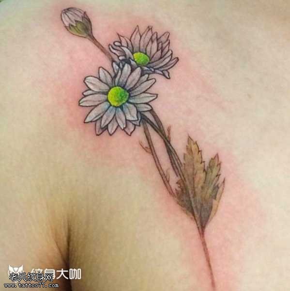 胸部菊花纹身图案