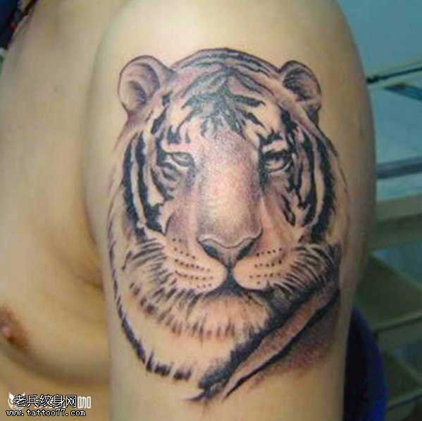 胳膊老虎头纹身图案