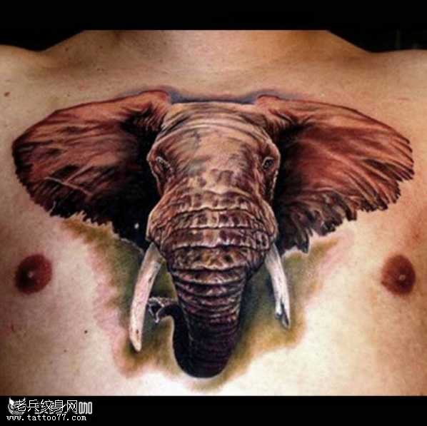 胸部大象头纹身图案