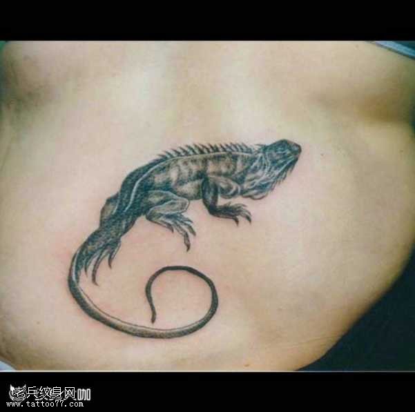 胸部蜥蜴纹身图案