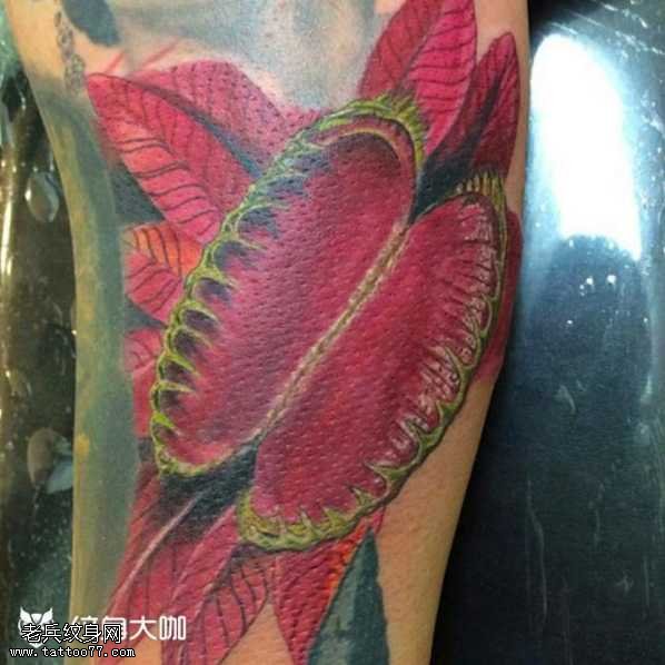 腿部食人花纹身图案