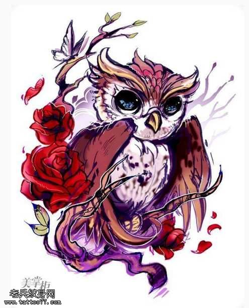 彩色猫头鹰纹身图案