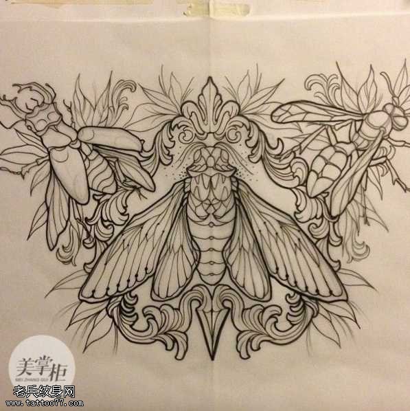 手稿飞蛾纹身图案