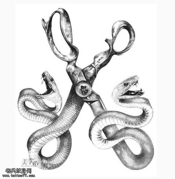 手稿剪刀蛇纹身图案