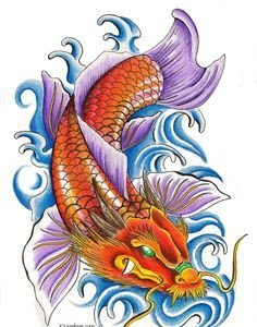 漂亮的彩色鲤鱼纹身图案手稿
