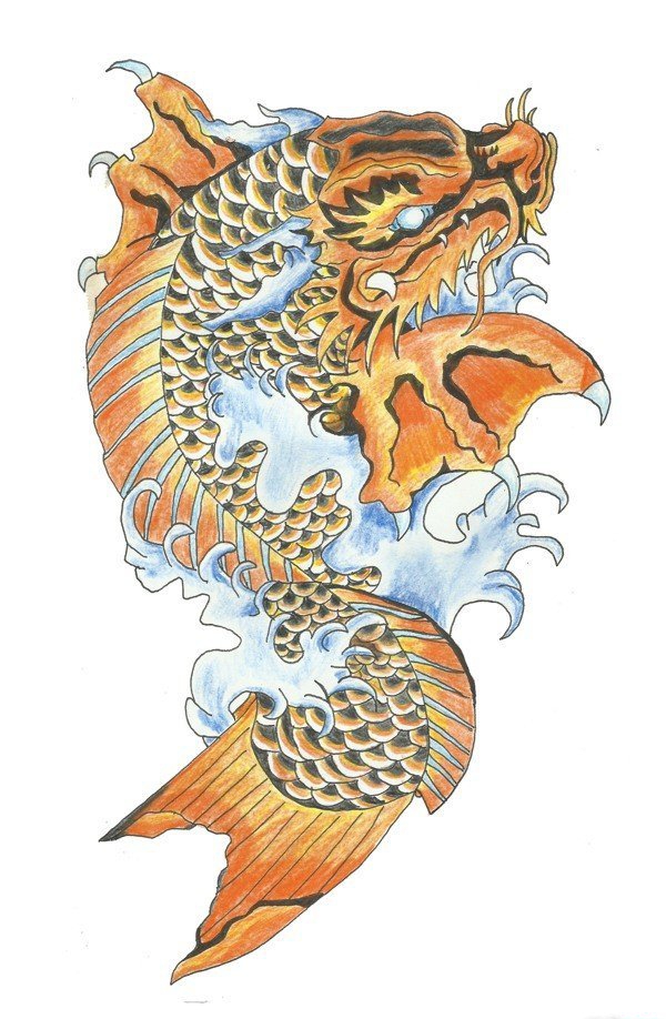 漂亮的彩色鲤鱼纹身图案手稿
