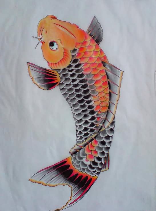 漂亮的彩色鲤鱼纹身图案手稿